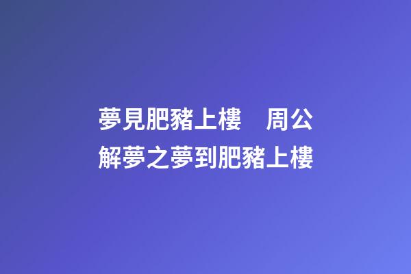 夢見肥豬上樓　周公解夢之夢到肥豬上樓